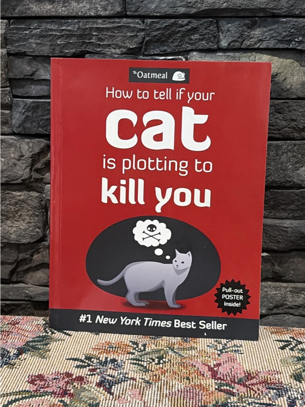 The Oatmeal: How to Tell If Your Cat Is Plotting to Kill You